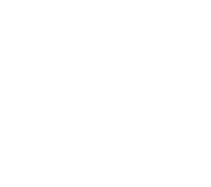 Boston Residential Group logo in all white